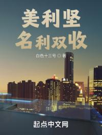 美利坚名利双收封面